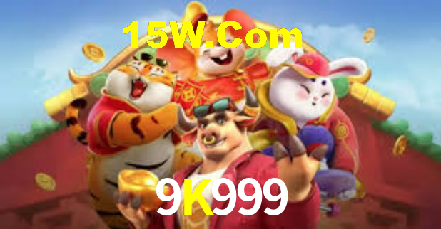 9K999 App Interface